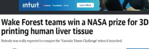 Tissue