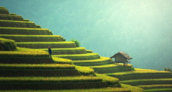 Farmland